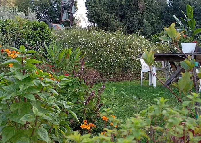 Venetton Garden House Corfu Apartment *