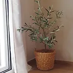 Apartmán Venetton Garden House Corfu *