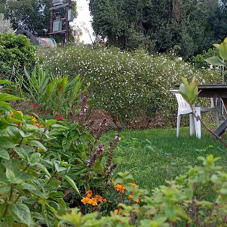 Venetton Garden House Corfu דירה *