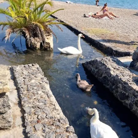 Διαμέρισμα Venetton Garden House Corfu *