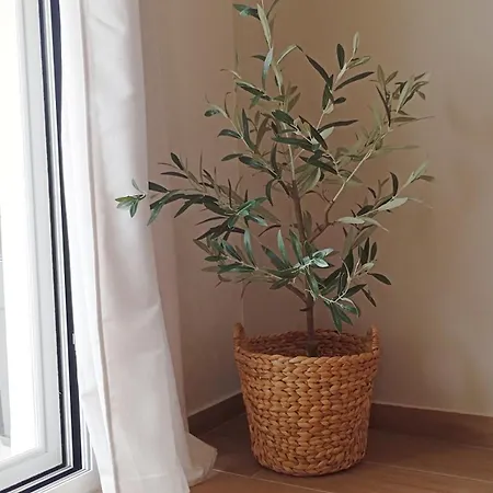 Apartment Venetton Garden House Corfu *